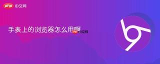 手表上的浏览器怎么用啊