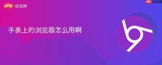手表上的浏览器怎么用啊