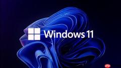重装/重置Windows 11的朋友：切记不要联网！
