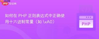 如何在 PHP 正则表达式中正确使用十六进制常量（如 \xA0）