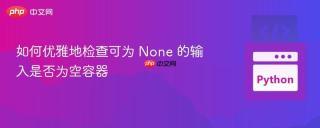 如何优雅地检查可为 None 的输入是否为空容器