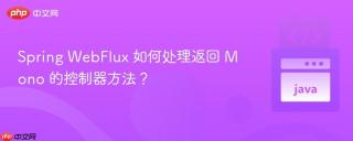 Spring WebFlux 如何处理返回 Mono 的控制器方法？