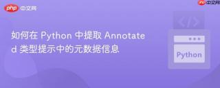 如何在 Python 中提取 Annotated 类型提示中的元数据信息