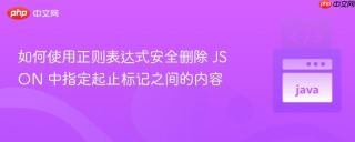 如何使用正则表达式安全删除 JSON 中指定起止标记之间的内容