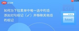 如何为下拉菜单中唯一选中的项添加对勾标记（✓）并移除其他项的标记