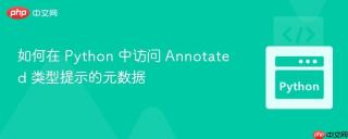 如何在 Python 中访问 Annotated 类型提示的元数据
