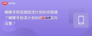 蝴蝶号短视频投流计划如何搭建？蝴蝶号投流计划如何优化定向设置？