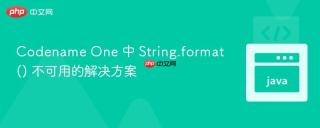 Codename One 中 String.format() 不可用的解决方案