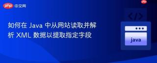 如何在 Java 中从网站读取并解析 XML 数据以提取指定字段
