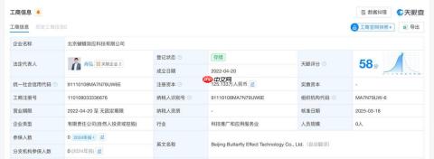 阿里不该错过Manus