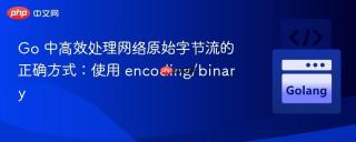 Go 中高效处理网络原始字节流的正确方式:使用 encoding/binary