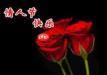 Macromedia Flash 8怎么制作动态贺卡