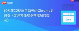 如何在20秒后自动关闭Chrome浏览器（含异常处理与精准超时控制）