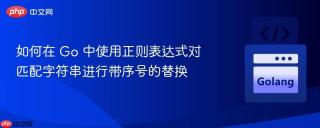 如何在 Go 中使用正则表达式对匹配字符串进行带序号的替换