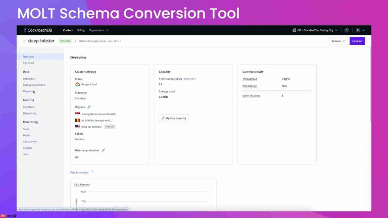 CockroachDB MOLT Schema Conversion Tool: 详细指南