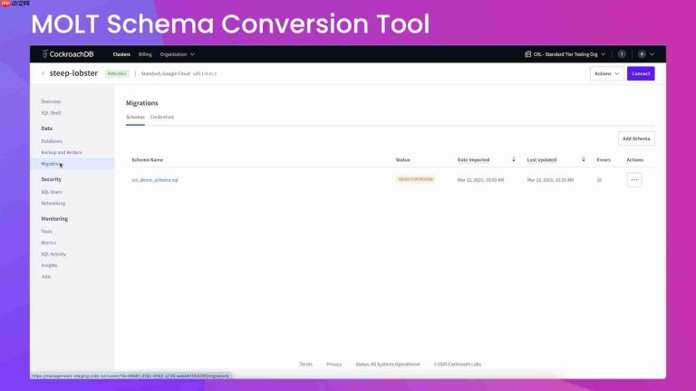 CockroachDB MOLT Schema Conversion Tool: 详细指南