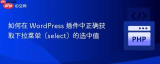 如何在 WordPress 插件中正确获取下拉菜单（select）的选中值