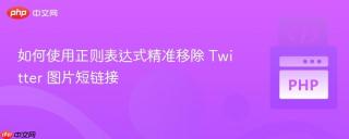 如何使用正则表达式精准移除 Twitter 图片短链接