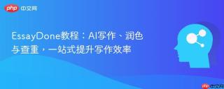EssayDone教程：AI写作、润色与查重，一站式提升写作效率