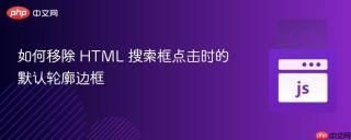 如何移除 HTML 搜索框点击时的默认轮廓边框