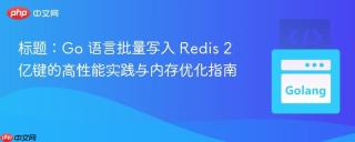 标题：Go 语言批量写入 Redis 2 亿键的高性能实践与内存优化指南