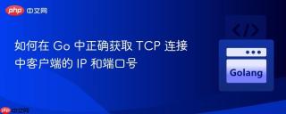 如何在 Go 中正确获取 TCP 连接中客户端的 IP 和端口号