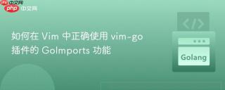如何在 Vim 中正确使用 vim-go 插件的 GoImports 功能
