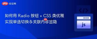 如何用 Radio 按钮 + CSS 类优雅实现单选切换与关联内容显隐