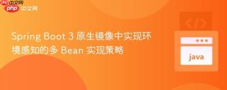 Spring Boot 3 原生镜像中实现环境感知的多 Bean 实现策略