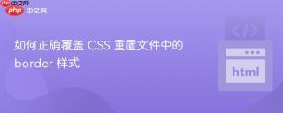 如何正确覆盖 CSS 重置文件中的 border 样式