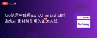 Go语言中使用json.Unmarshal时避免nil指针解引用的正确实践