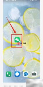 粤省事申领出生证明指南