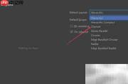 WebStorm 2021.1.2默认布局设置