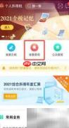 如何查询个税工资明细