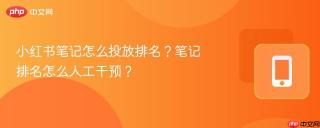 小红书笔记怎么投放排名？笔记排名怎么人工干预？