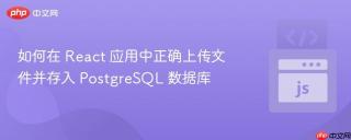 如何在 React 应用中正确上传文件并存入 PostgreSQL 数据库