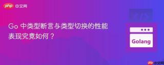 Go 中类型断言与类型切换的性能表现究竟如何？