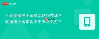 抖音直播挂小黄车卖货钱在哪？直播挂小黄车卖不出去怎么办？