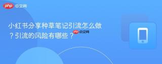 小红书分享种草笔记引流怎么做?引流的风险有哪些?