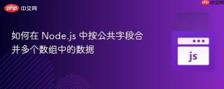 如何在 Node.js 中按公共字段合并多个数组中的数据