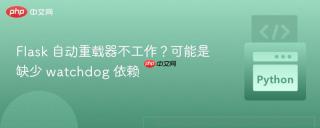 Flask 自动重载器不工作？可能是缺少 watchdog 依赖