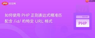 如何使用 PHP 正则表达式精准匹配含 /id/ 的特定 URL 格式