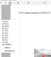 Adobe Acrobat DC数字签名使用指南