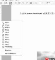 adobe acrobat dc数字签名使用指南
