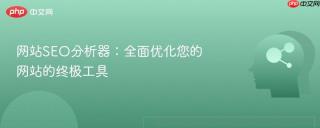 网站SEO分析器：全面优化您的网站的终极工具