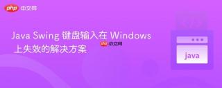 Java Swing 键盘输入在 Windows 上失效的解决方案