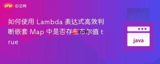 如何使用 Lambda 表达式高效判断嵌套 Map 中是否存在布尔值 true