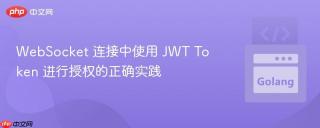 WebSocket 连接中使用 JWT Token 进行授权的正确实践