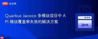 Quarkus Jacoco 多模块项目中 API 模块覆盖率失效的解决方案