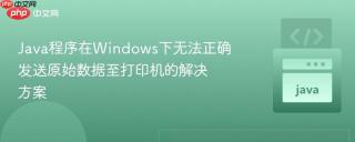 Java程序在Windows下无法正确发送原始数据至打印机的解决方案